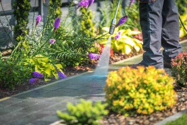 Best Soft Washing  in East Setauket, NY