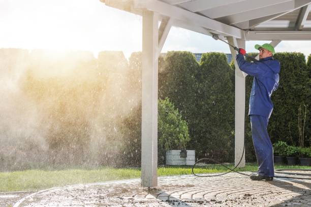 Best Building Exterior Washing  in East Setauket, NY